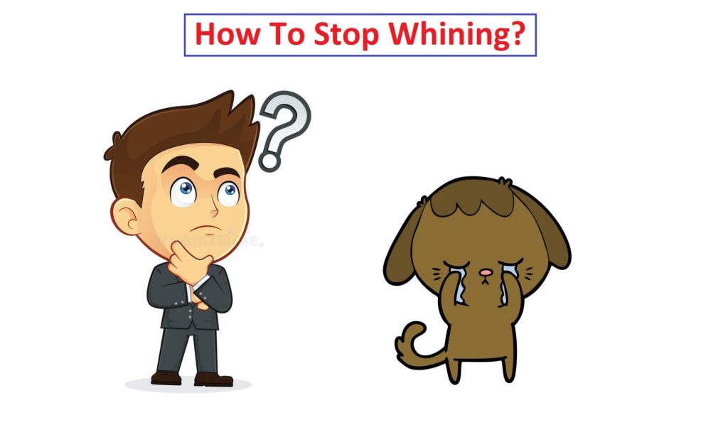 How do I stop my dog from whining? 