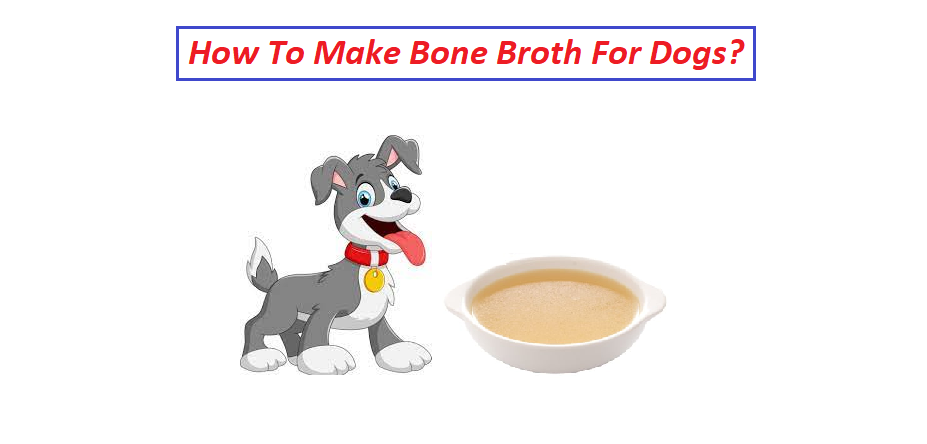 How To Make Bone Broth For Dogs?