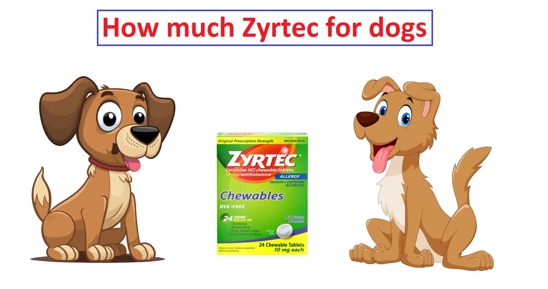 How much is Zyrtec for dogs?
